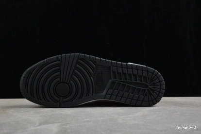 Hyperoad SE Jordan Low Air 1 0706